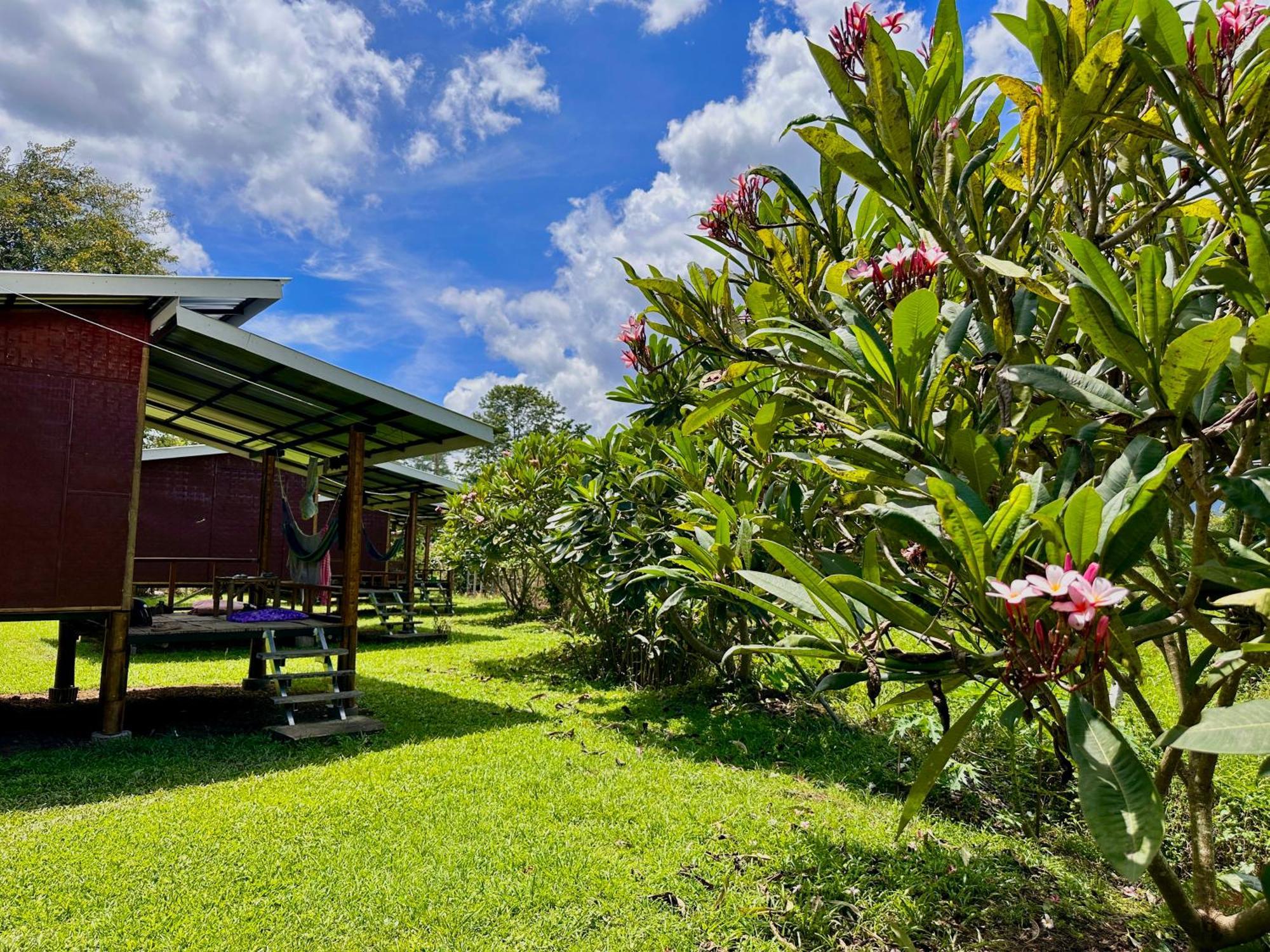 Hotel Twin Hut Pai Exteriér fotografie