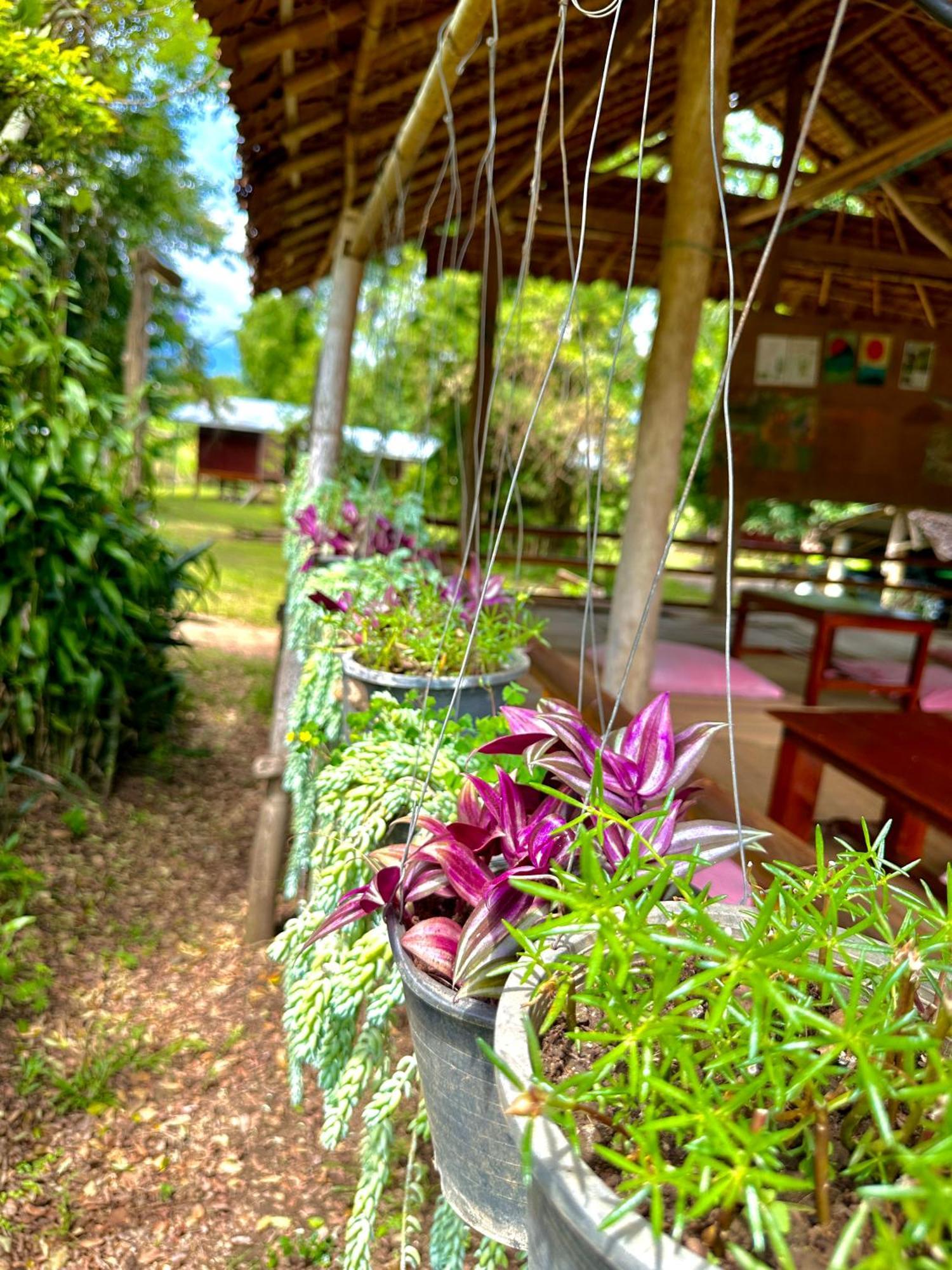Hotel Twin Hut Pai Exteriér fotografie